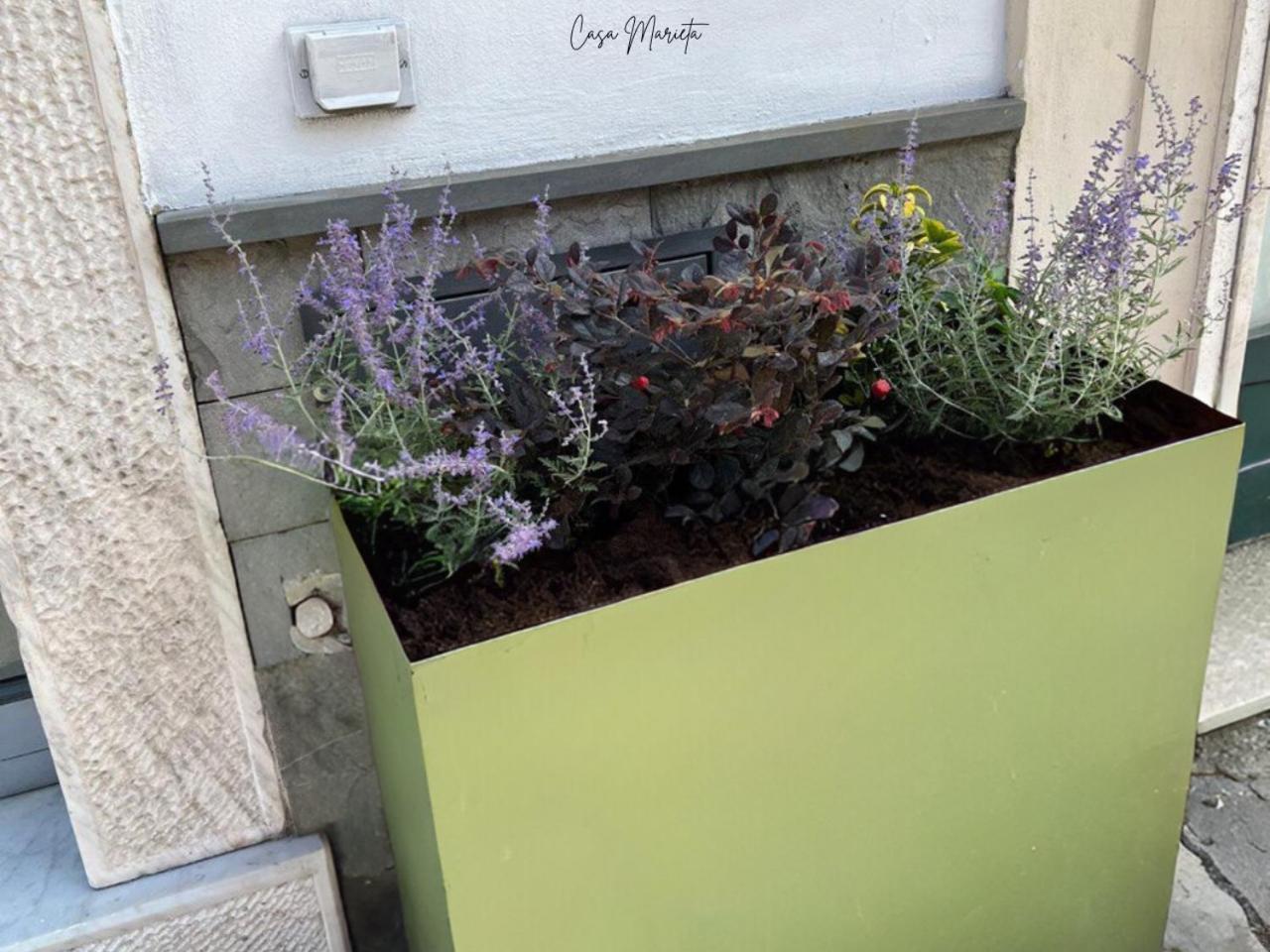 Marieta Rooms Sarzana Exterior foto
